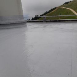 20210826_154152.jpg