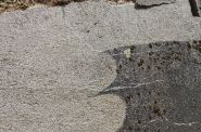 IMG-20210621-WA0029.jpg